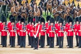 Trooping the Colour 2016.
Horse Guards Parade, Westminster,
London SW1A,
London,
United Kingdom,
on 11 June 2016 at 10:42, image #206
