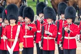 Trooping the Colour 2016.
Horse Guards Parade, Westminster,
London SW1A,
London,
United Kingdom,
on 11 June 2016 at 10:43, image #209