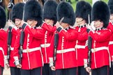 Trooping the Colour 2016.
Horse Guards Parade, Westminster,
London SW1A,
London,
United Kingdom,
on 11 June 2016 at 10:43, image #210