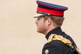 Trooping the Colour 2016.
Horse Guards Parade, Westminster,
London SW1A,
London,
United Kingdom,
on 11 June 2016 at 10:52, image #263