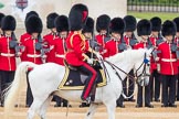 Trooping the Colour 2016.
Horse Guards Parade, Westminster,
London SW1A,
London,
United Kingdom,
on 11 June 2016 at 10:53, image #278