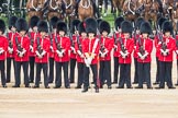 Trooping the Colour 2016.
Horse Guards Parade, Westminster,
London SW1A,
London,
United Kingdom,
on 11 June 2016 at 10:54, image #283