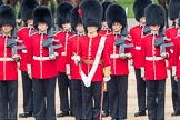 Trooping the Colour 2016.
Horse Guards Parade, Westminster,
London SW1A,
London,
United Kingdom,
on 11 June 2016 at 10:55, image #284