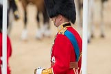 Trooping the Colour 2016.
Horse Guards Parade, Westminster,
London SW1A,
London,
United Kingdom,
on 11 June 2016 at 11:01, image #339