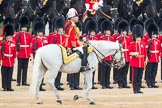 Trooping the Colour 2016.
Horse Guards Parade, Westminster,
London SW1A,
London,
United Kingdom,
on 11 June 2016 at 11:03, image #387