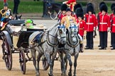 Trooping the Colour 2016.
Horse Guards Parade, Westminster,
London SW1A,
London,
United Kingdom,
on 11 June 2016 at 11:06, image #397