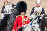 Trooping the Colour 2016.
Horse Guards Parade, Westminster,
London SW1A,
London,
United Kingdom,
on 11 June 2016 at 11:06, image #403