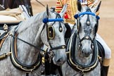 Trooping the Colour 2016.
Horse Guards Parade, Westminster,
London SW1A,
London,
United Kingdom,
on 11 June 2016 at 11:06, image #405