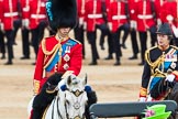 Trooping the Colour 2016.
Horse Guards Parade, Westminster,
London SW1A,
London,
United Kingdom,
on 11 June 2016 at 11:07, image #407