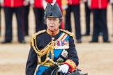 Trooping the Colour 2016.
Horse Guards Parade, Westminster,
London SW1A,
London,
United Kingdom,
on 11 June 2016 at 11:07, image #408