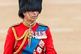 Trooping the Colour 2016.
Horse Guards Parade, Westminster,
London SW1A,
London,
United Kingdom,
on 11 June 2016 at 11:07, image #413