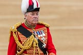 Trooping the Colour 2016.
Horse Guards Parade, Westminster,
London SW1A,
London,
United Kingdom,
on 11 June 2016 at 11:07, image #416