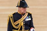 Trooping the Colour 2016.
Horse Guards Parade, Westminster,
London SW1A,
London,
United Kingdom,
on 11 June 2016 at 11:07, image #419