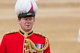 Trooping the Colour 2016.
Horse Guards Parade, Westminster,
London SW1A,
London,
United Kingdom,
on 11 June 2016 at 11:07, image #424