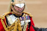 Trooping the Colour 2016.
Horse Guards Parade, Westminster,
London SW1A,
London,
United Kingdom,
on 11 June 2016 at 11:07, image #426