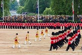 Trooping the Colour 2016.
Horse Guards Parade, Westminster,
London SW1A,
London,
United Kingdom,
on 11 June 2016 at 11:13, image #452