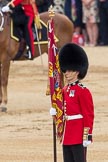 Trooping the Colour 2016.
Horse Guards Parade, Westminster,
London SW1A,
London,
United Kingdom,
on 11 June 2016 at 11:15, image #456