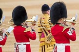 Trooping the Colour 2016.
Horse Guards Parade, Westminster,
London SW1A,
London,
United Kingdom,
on 11 June 2016 at 11:15, image #459