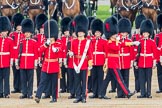 Trooping the Colour 2016.
Horse Guards Parade, Westminster,
London SW1A,
London,
United Kingdom,
on 11 June 2016 at 11:16, image #463