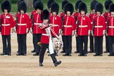 Trooping the Colour 2016.
Horse Guards Parade, Westminster,
London SW1A,
London,
United Kingdom,
on 11 June 2016 at 11:16, image #464