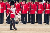 Trooping the Colour 2016.
Horse Guards Parade, Westminster,
London SW1A,
London,
United Kingdom,
on 11 June 2016 at 11:16, image #465