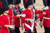 Trooping the Colour 2016.
Horse Guards Parade, Westminster,
London SW1A,
London,
United Kingdom,
on 11 June 2016 at 11:18, image #482