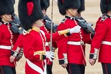 Trooping the Colour 2016.
Horse Guards Parade, Westminster,
London SW1A,
London,
United Kingdom,
on 11 June 2016 at 11:18, image #484