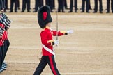 Trooping the Colour 2016.
Horse Guards Parade, Westminster,
London SW1A,
London,
United Kingdom,
on 11 June 2016 at 11:18, image #487