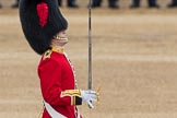 Trooping the Colour 2016.
Horse Guards Parade, Westminster,
London SW1A,
London,
United Kingdom,
on 11 June 2016 at 11:18, image #488