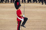 Trooping the Colour 2016.
Horse Guards Parade, Westminster,
London SW1A,
London,
United Kingdom,
on 11 June 2016 at 11:18, image #491