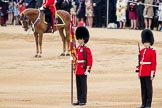 Trooping the Colour 2016.
Horse Guards Parade, Westminster,
London SW1A,
London,
United Kingdom,
on 11 June 2016 at 11:18, image #492