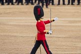 Trooping the Colour 2016.
Horse Guards Parade, Westminster,
London SW1A,
London,
United Kingdom,
on 11 June 2016 at 11:18, image #493