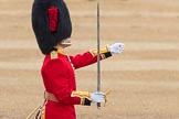 Trooping the Colour 2016.
Horse Guards Parade, Westminster,
London SW1A,
London,
United Kingdom,
on 11 June 2016 at 11:18, image #494