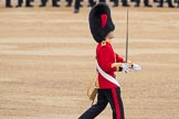 Trooping the Colour 2016.
Horse Guards Parade, Westminster,
London SW1A,
London,
United Kingdom,
on 11 June 2016 at 11:18, image #495