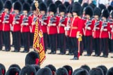Trooping the Colour 2016.
Horse Guards Parade, Westminster,
London SW1A,
London,
United Kingdom,
on 11 June 2016 at 11:23, image #541