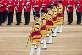 Trooping the Colour 2016.
Horse Guards Parade, Westminster,
London SW1A,
London,
United Kingdom,
on 11 June 2016 at 11:26, image #553