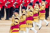 Trooping the Colour 2016.
Horse Guards Parade, Westminster,
London SW1A,
London,
United Kingdom,
on 11 June 2016 at 11:26, image #554