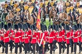 Trooping the Colour 2016.
Horse Guards Parade, Westminster,
London SW1A,
London,
United Kingdom,
on 11 June 2016 at 11:29, image #586