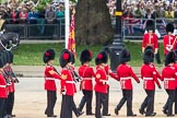 Trooping the Colour 2016.
Horse Guards Parade, Westminster,
London SW1A,
London,
United Kingdom,
on 11 June 2016 at 11:31, image #594