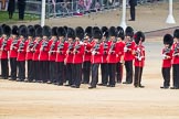 Trooping the Colour 2016.
Horse Guards Parade, Westminster,
London SW1A,
London,
United Kingdom,
on 11 June 2016 at 11:32, image #605