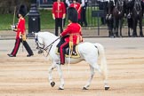Trooping the Colour 2016.
Horse Guards Parade, Westminster,
London SW1A,
London,
United Kingdom,
on 11 June 2016 at 11:33, image #607