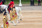 Trooping the Colour 2016.
Horse Guards Parade, Westminster,
London SW1A,
London,
United Kingdom,
on 11 June 2016 at 11:33, image #608