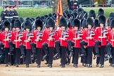 Trooping the Colour 2016.
Horse Guards Parade, Westminster,
London SW1A,
London,
United Kingdom,
on 11 June 2016 at 11:33, image #617