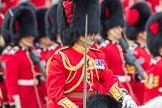 Trooping the Colour 2016.
Horse Guards Parade, Westminster,
London SW1A,
London,
United Kingdom,
on 11 June 2016 at 11:35, image #631