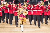 Trooping the Colour 2016.
Horse Guards Parade, Westminster,
London SW1A,
London,
United Kingdom,
on 11 June 2016 at 11:36, image #634