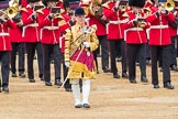 Trooping the Colour 2016.
Horse Guards Parade, Westminster,
London SW1A,
London,
United Kingdom,
on 11 June 2016 at 11:36, image #635