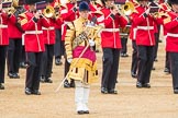 Trooping the Colour 2016.
Horse Guards Parade, Westminster,
London SW1A,
London,
United Kingdom,
on 11 June 2016 at 11:36, image #636