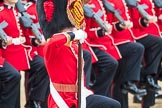 Trooping the Colour 2016.
Horse Guards Parade, Westminster,
London SW1A,
London,
United Kingdom,
on 11 June 2016 at 11:36, image #638