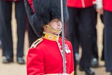 Trooping the Colour 2016.
Horse Guards Parade, Westminster,
London SW1A,
London,
United Kingdom,
on 11 June 2016 at 11:36, image #640