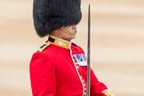 Trooping the Colour 2016.
Horse Guards Parade, Westminster,
London SW1A,
London,
United Kingdom,
on 11 June 2016 at 11:37, image #642